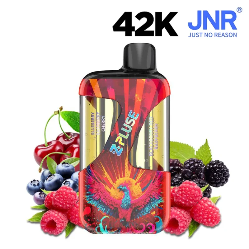 Zpluse JNR Puff double gout - fraise, framboise, cerise, myrtille