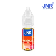 E liquide JNR Watermelon Ice sans nicotine - Recharge liquide pour puff JNR Pastèque glacée