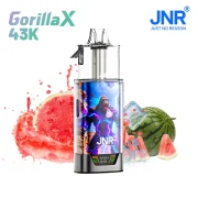 Kit JNR Gorilla X 43K - Watermelon Ice - 0 mg - Puff rechargeable
