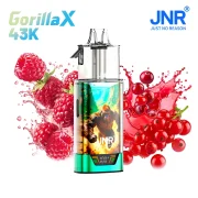 Kit JNR Gorilla 43K Sans Nicotine (0mg) - Goût Wild Berries Ice