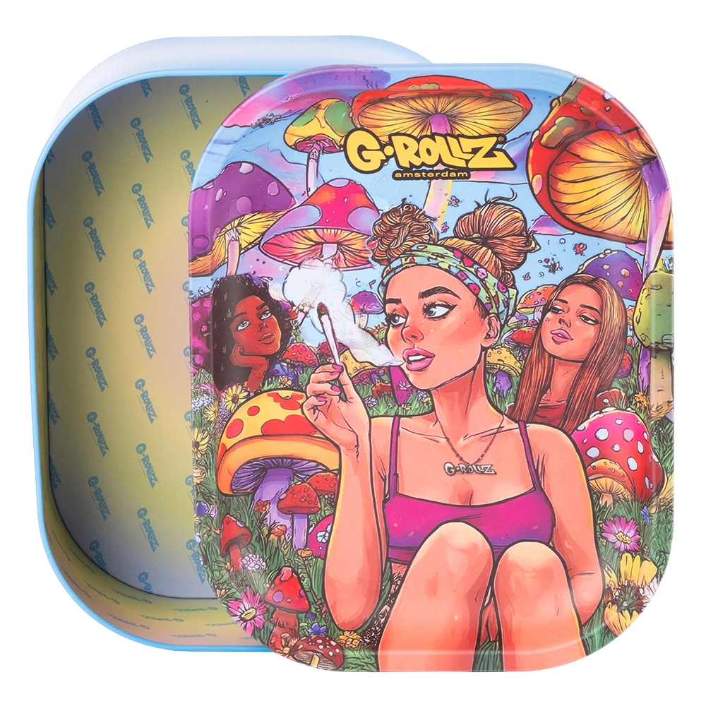 Boite fumeur en métal avec couvercle plateau G-Rollz Daydream