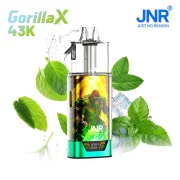 Puff JNR Gorilla X 43K Sans Nicotine - Fresh Mint