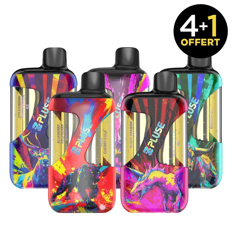 pack de 5 puffs JNR double gout ZPluse - lot pas cher
